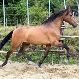 Foto di Marco