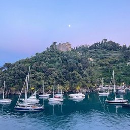 Foto di Letizia