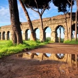 Foto di Davide