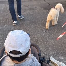 Foto di Isabella
