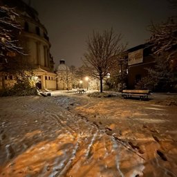 Foto di Nicoletta