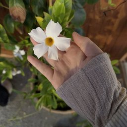 Foto di Selda