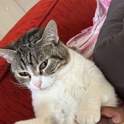 Foto di Alem