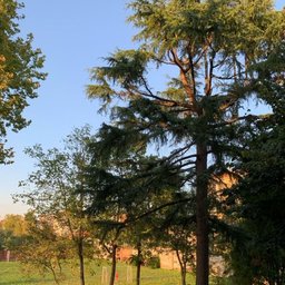 Foto di Legdani F.