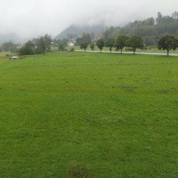 Foto di Mohammad A.