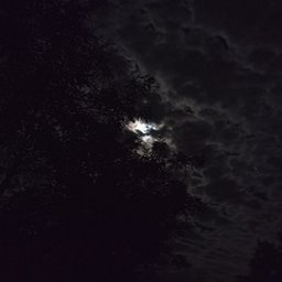Foto di Nensy