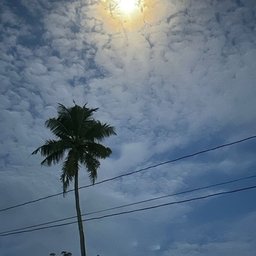 Foto di Nishani