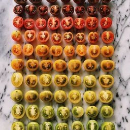 Foto di Annarita