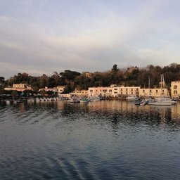 Foto di Elba R.