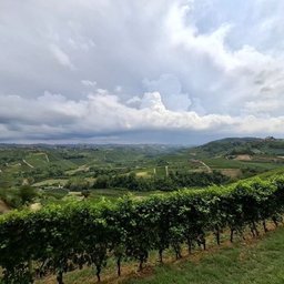 Foto di Sang