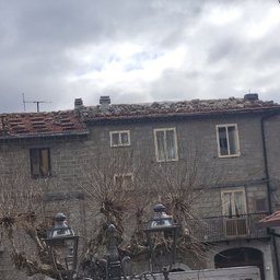 Foto di Kala