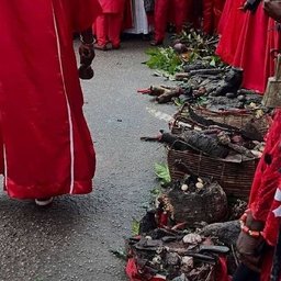 Foto di Osariyekemwen E.