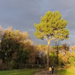 Foto di Ann
