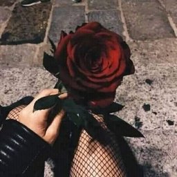 Foto di Rossy