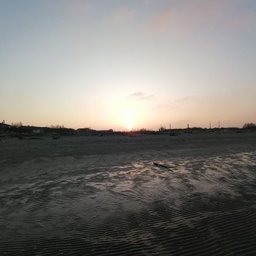 Foto di Veronica