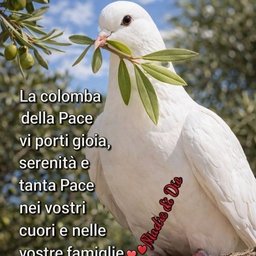 Foto di Raharimalala
