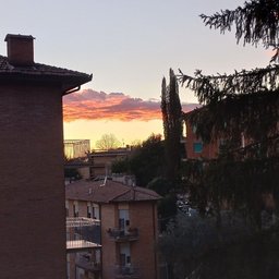 Foto di Ida
