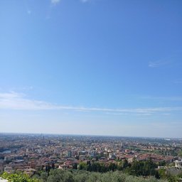 Foto di Shaini T.