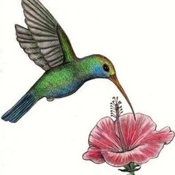 Foto di Rosa P.