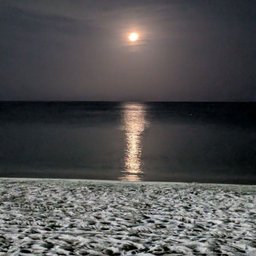 Foto di Beatriz