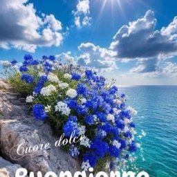 Foto di Rosy