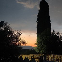 Foto di Joly P.